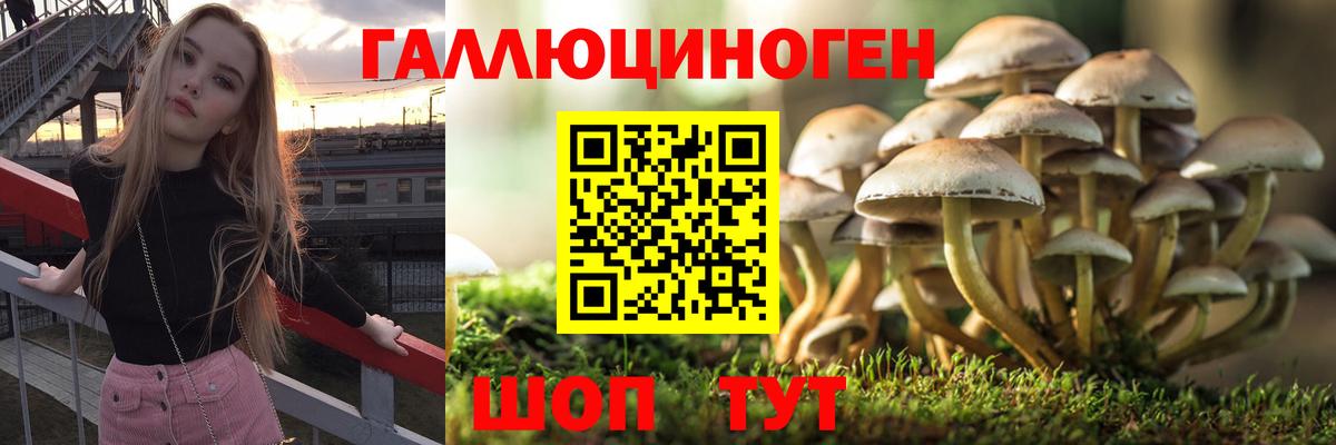 Галлюциногенные грибы прущие грибы  Вход с VPN  Выкса  Галлюциногенные грибы MAGIC MUSHROOMS 